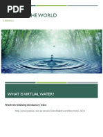 4 Virtual Water