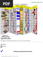 Petrophysics Logging Tools