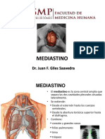 Mediastino