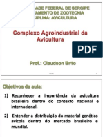 Aula 1 - Complexo Agroindustrial Da Avicultura