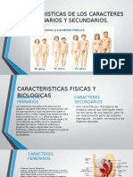 Caracteristicas de Los Caracteres Primarios y Secundarios