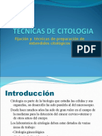 Tecnicas de Citologia