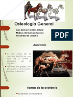 Manual de Proyecciones Radiograficas