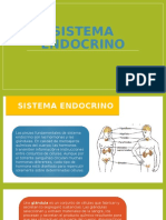 Sistema Endocrino Expo