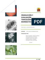 PRODUCCIÓN Y EVALUACIÓN TOXICOLÓGICA DE Bacillus Thuringiensis