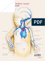 Neonatal and Pediatric Vessels