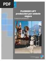 Trabajo de Plunger Lift