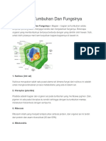 Bagian Sel Tumbuhan Dan Fungsinya