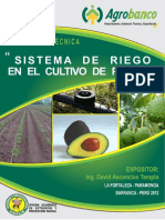 031 C Palto PDF