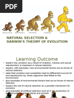 Natural Selection Evolution