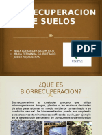 BIORREMEDIACION