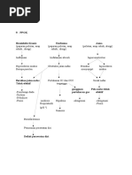 Pathway Ppok