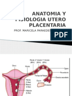 Fisiologia Materno Fetal