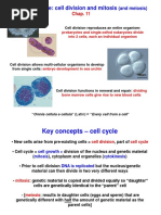 Cell Cycle