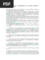 La Problemática de La Informalidad de Las Micro (Kelly Ucv)