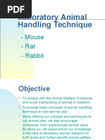 Laboratory Animal Handling Technique: - Mouse - Rat - Rabbit