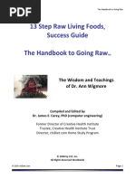 Handbook To Going Raw PDF