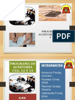 Programa de Auditoria Cta. 12 y 13