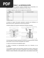 Ejercicios Tema 7 - La Reproduccion