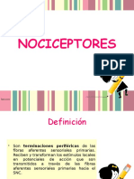 NOCICEPTORES