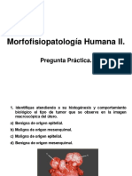 Pregunta Práctica MFPH II