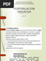 Eq.3 Fosforilacion Oxidativa 2