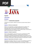 Fundamentele Programării JAVA in Romana