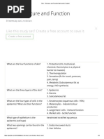 Skin - Structure and Function Flashcards - Quizlet