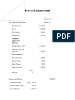 Projected Balance Sheet: Asset