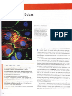 Capítulo 5 - Membranas Biológicas