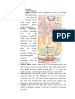 Fisiologi Kelenjar Tiroid