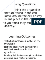 The Cytoplasm - Classview