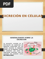 Excrecion Celular