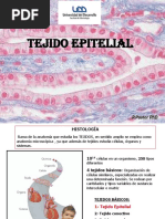 Clase 2. Tejido Epitelial PDF