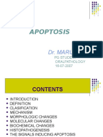 Apoptosis