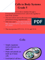 Cell Structure