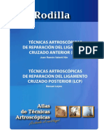 Artroscopia 01