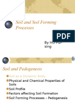 Soil and Soil Forming Processes