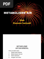 Metabolisme Air