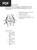 Anatomia Osteoarticular