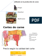 Carne de Res