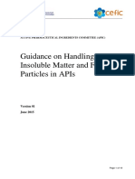 Foreign Particle Guideline