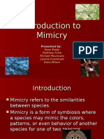 Introduction To Mimicry