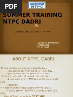 Summer Training NTPC Dadri: Training Time-10 June To 7 July