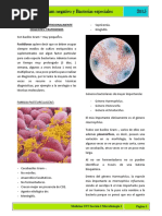 Bacilos Gram Negativo y Bacterias Especiales PDF