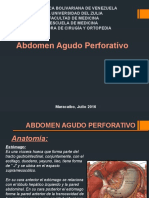 Seminario AAP