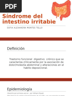 Síndrome Del Intestino Irritable