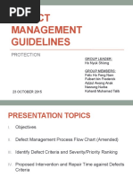 Defect Management Guidelines - Draft