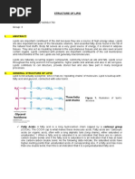 Structure of Lipid