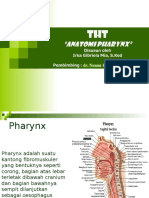 Anatomi Pharynx